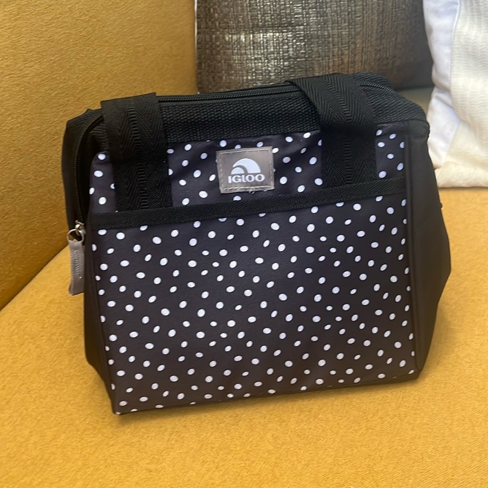 Insulated Igloo Lunchbox